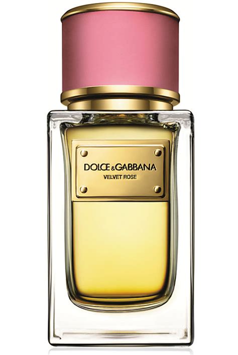 dolce and gabbana perfume buy online|dolce and gabbana perfume for women.